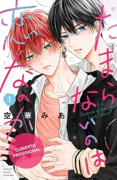 Portada de Breaking me softly. ¿Será amor esta emoción irresistible?, 1